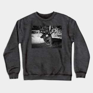 deer 6 Crewneck Sweatshirt